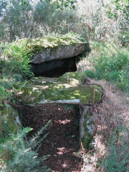 Dolmens de Kervilor-Man&eacute; Bras